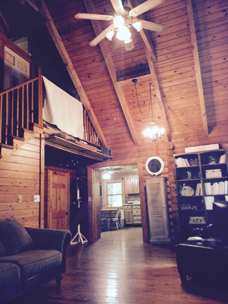 Minimalist log cabin living room