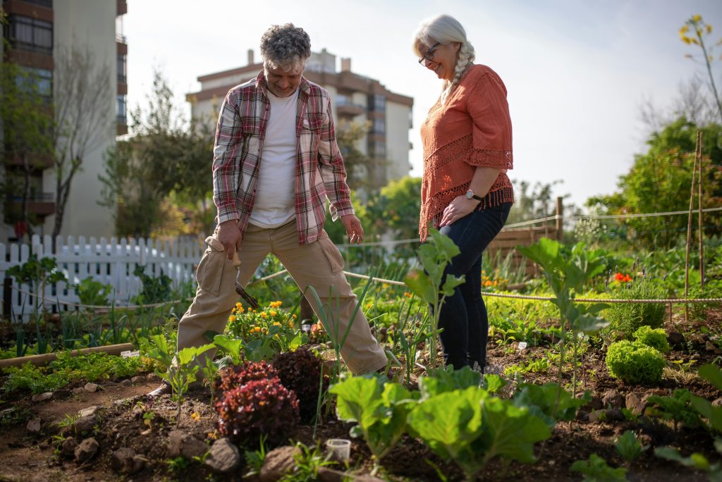 community efforts to fight food scarcity